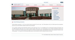 Desktop Screenshot of cpllabs.com